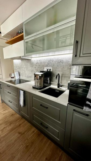 LUX RADNICA appartment center- free parking